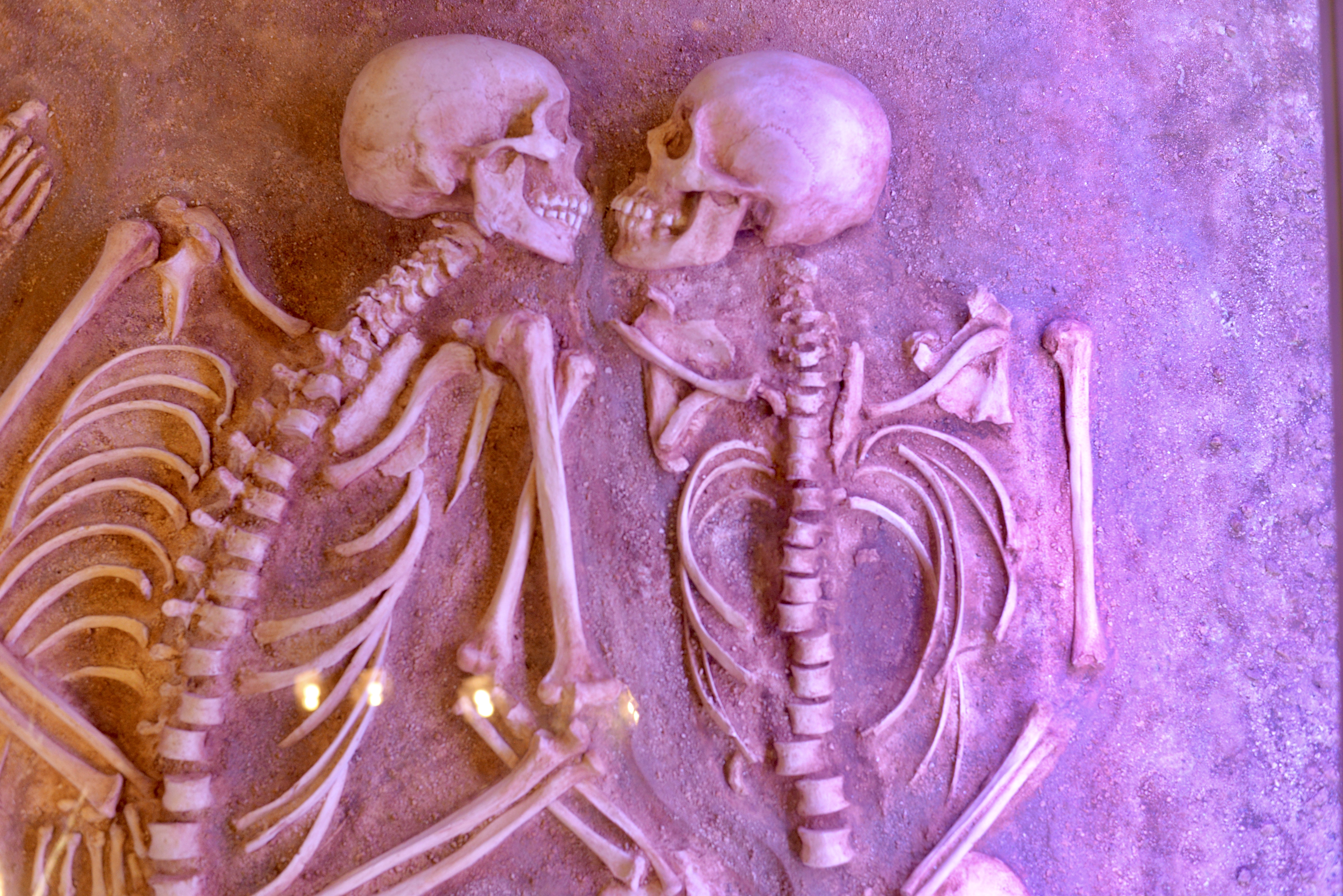 Gran Museo del Mundo Maya Maya world museum of Merida