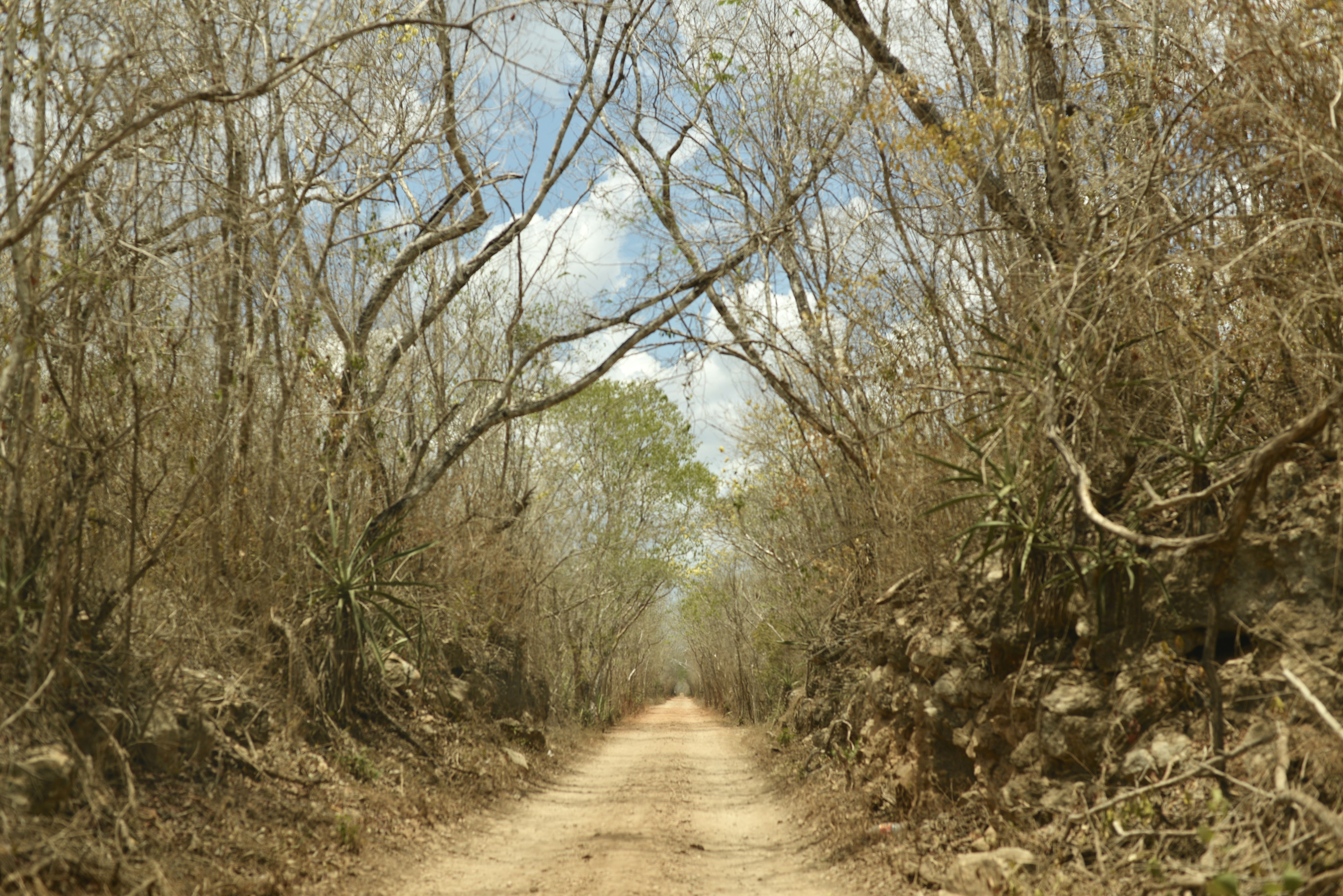 Uxmal Merida mexico trip guide