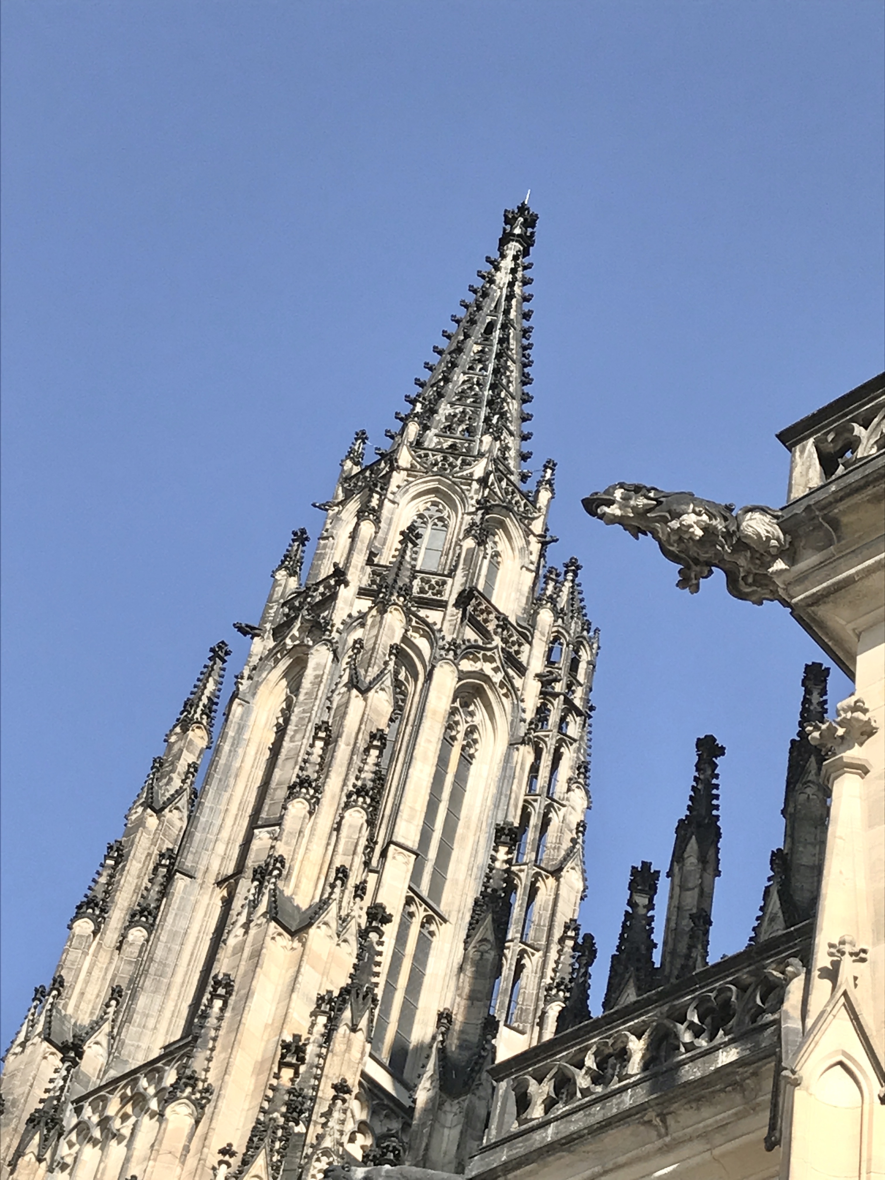 St. Vitus Cathedral guide