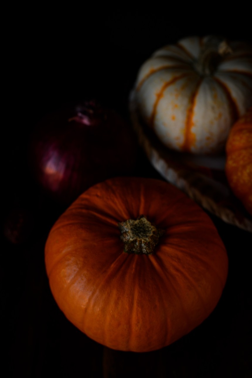 pumpkin cat health fall autumn