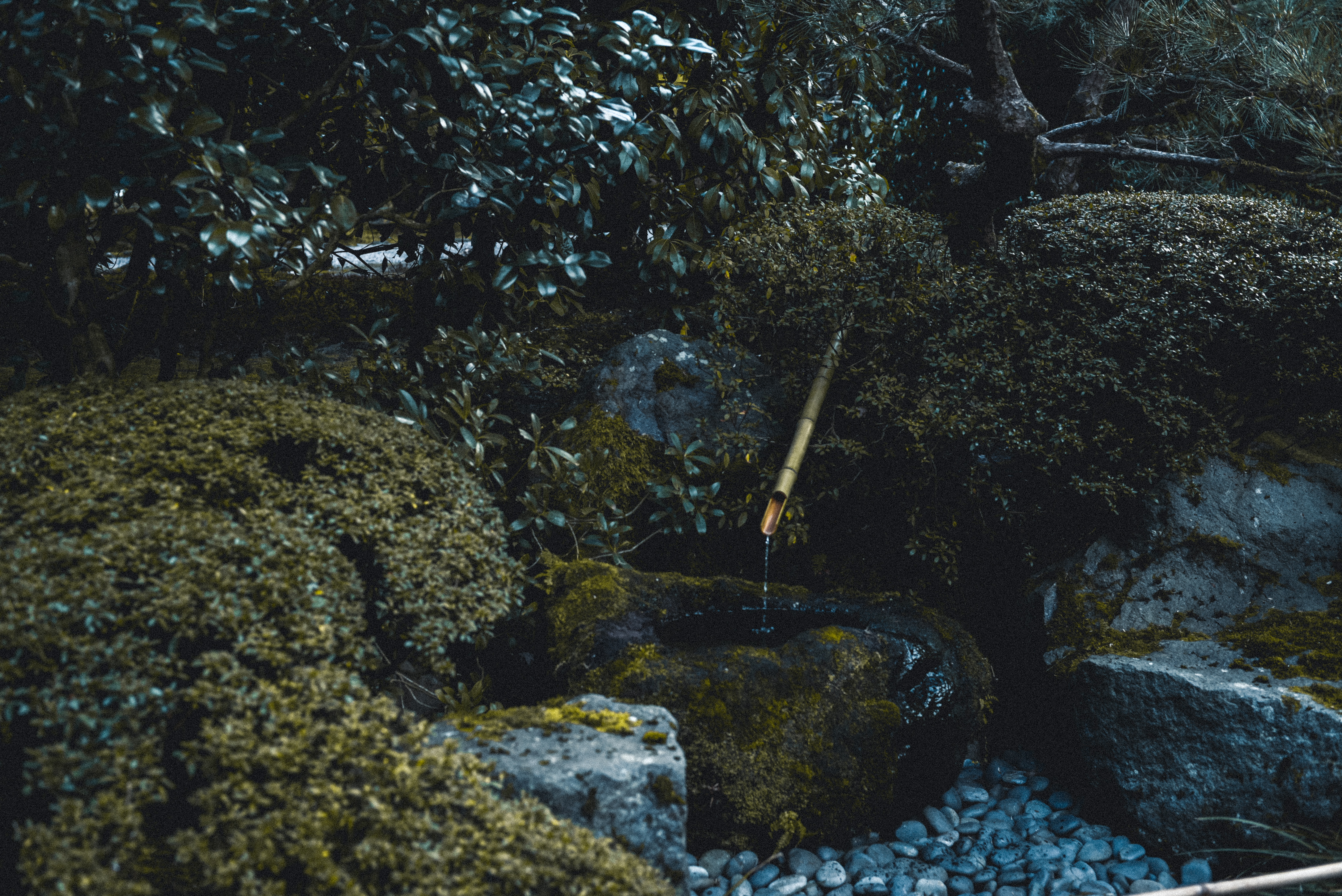 Japanese garden weekend getaway plan three day trip plan