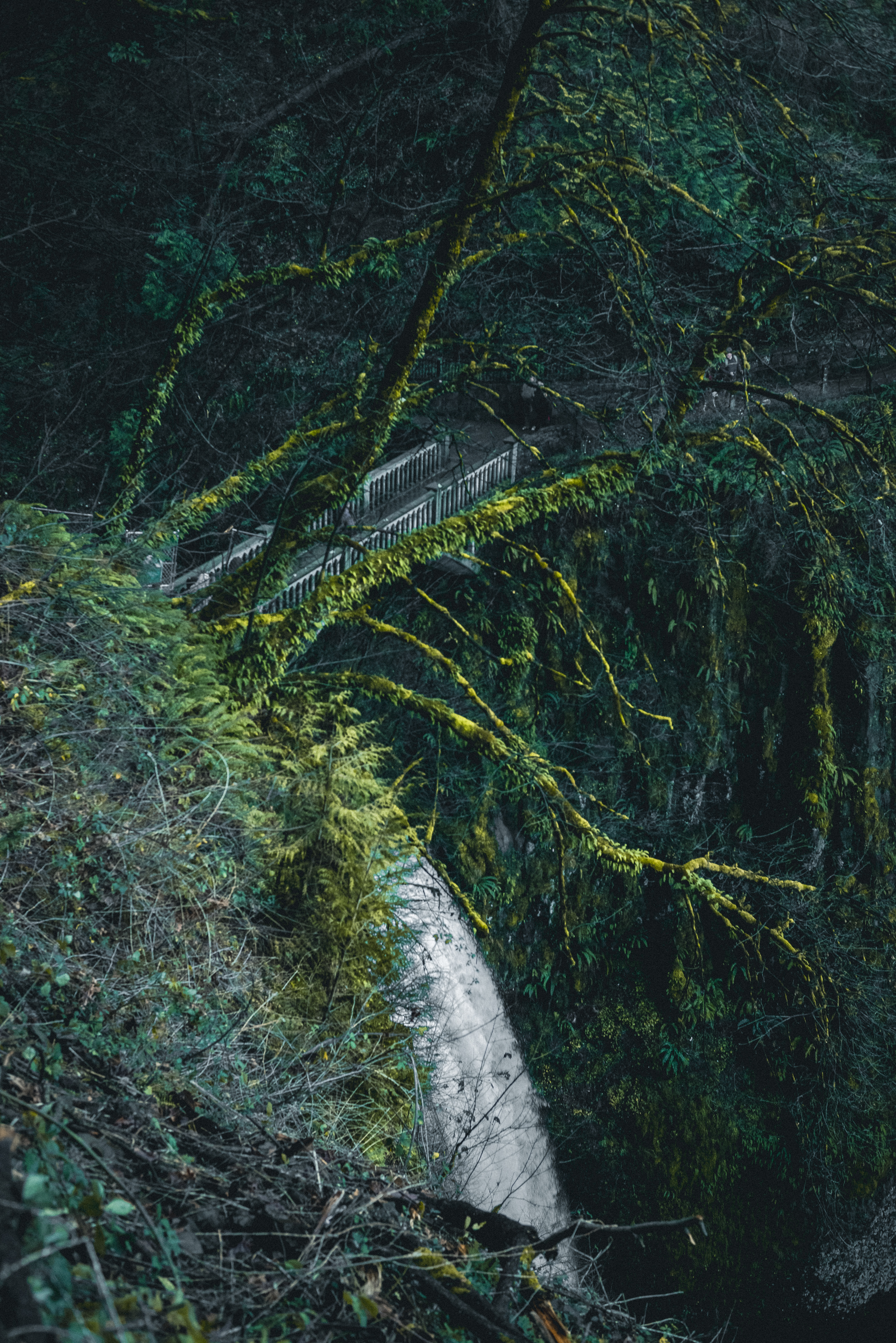 Multnomah Falls, Columbia River Gorge weekend two day trip plan