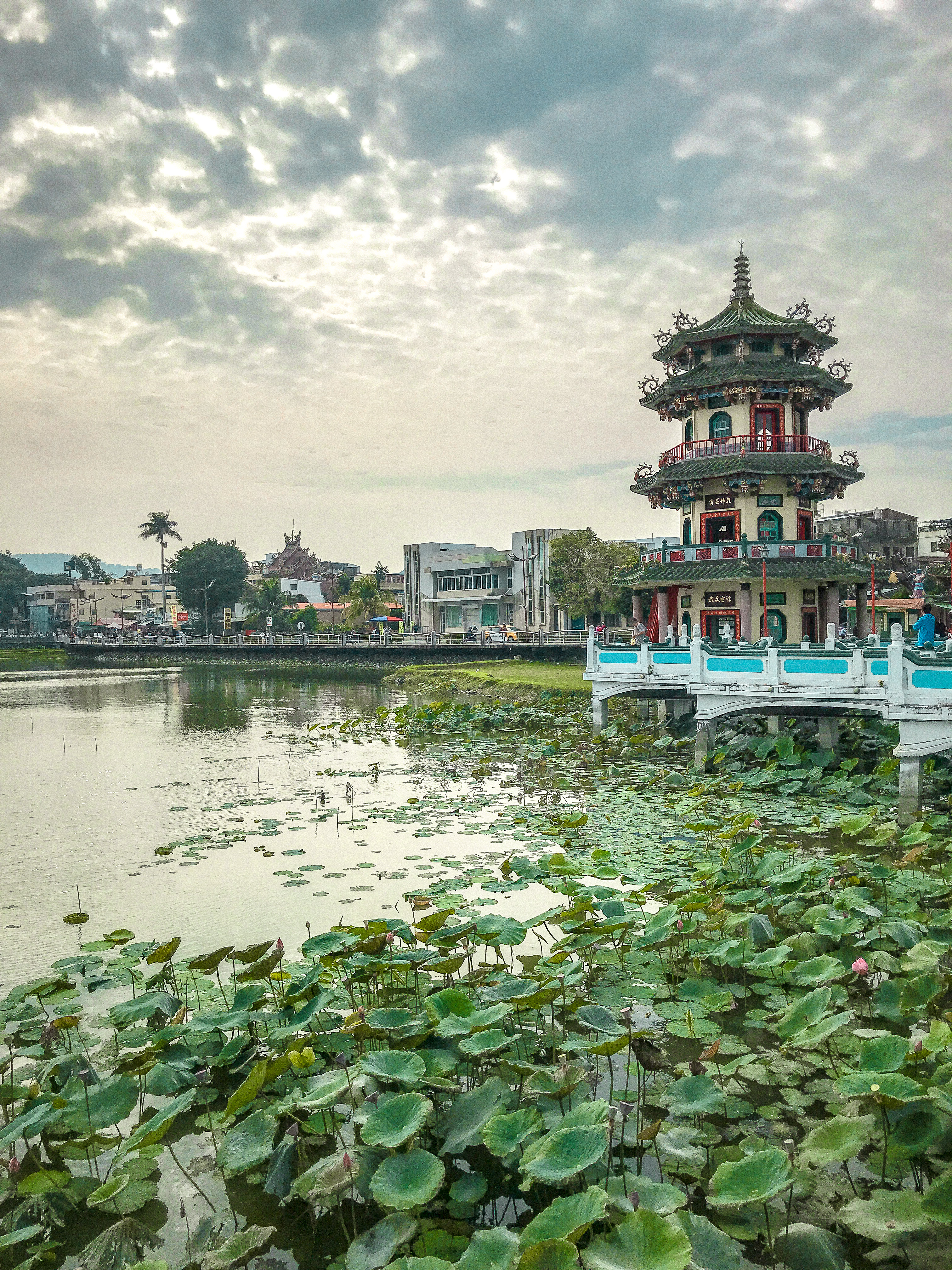 Spring and Autumn Pavilions 春秋閣 lotus pond