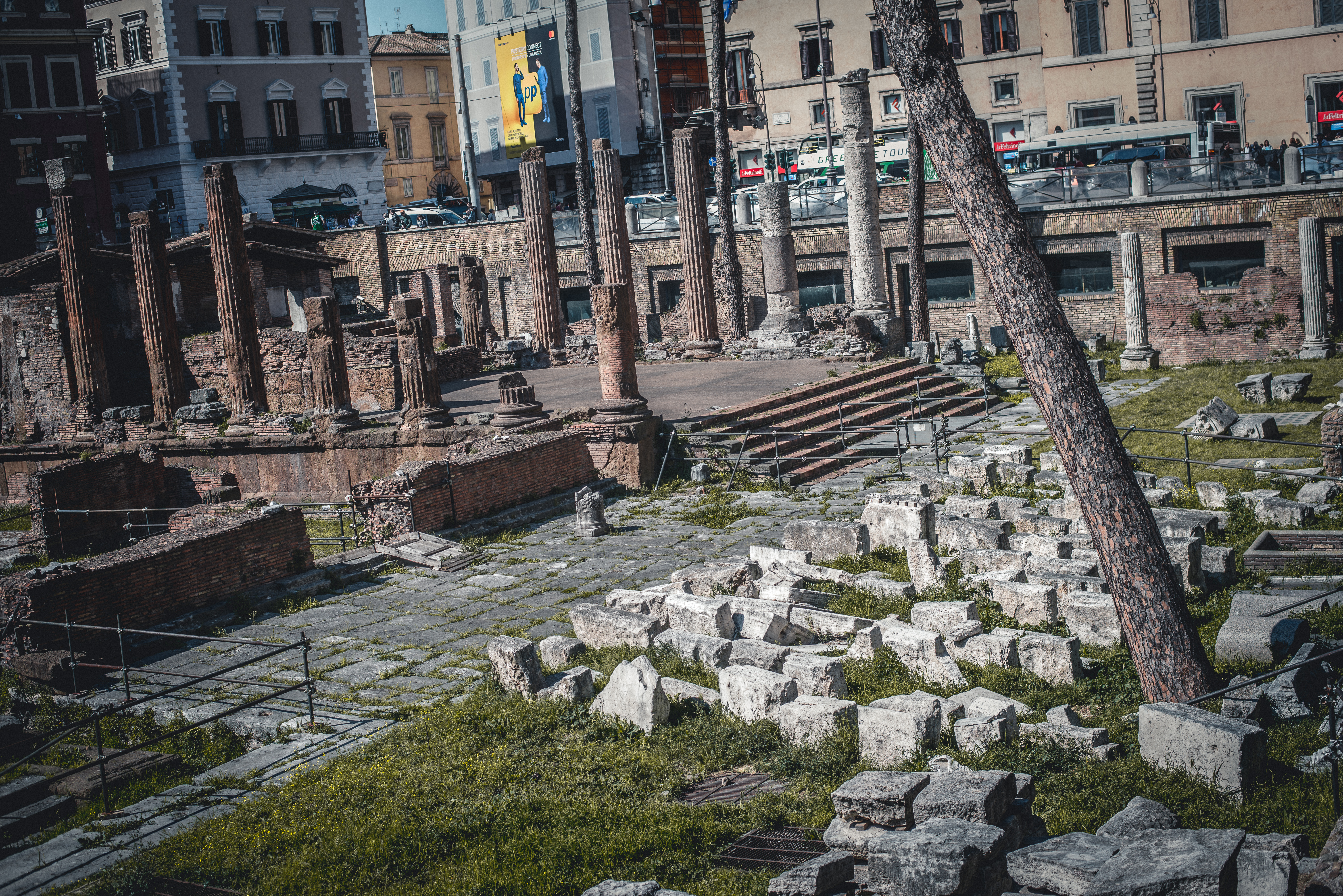 Rome Largo di Torre Argentina 5 day travel guide