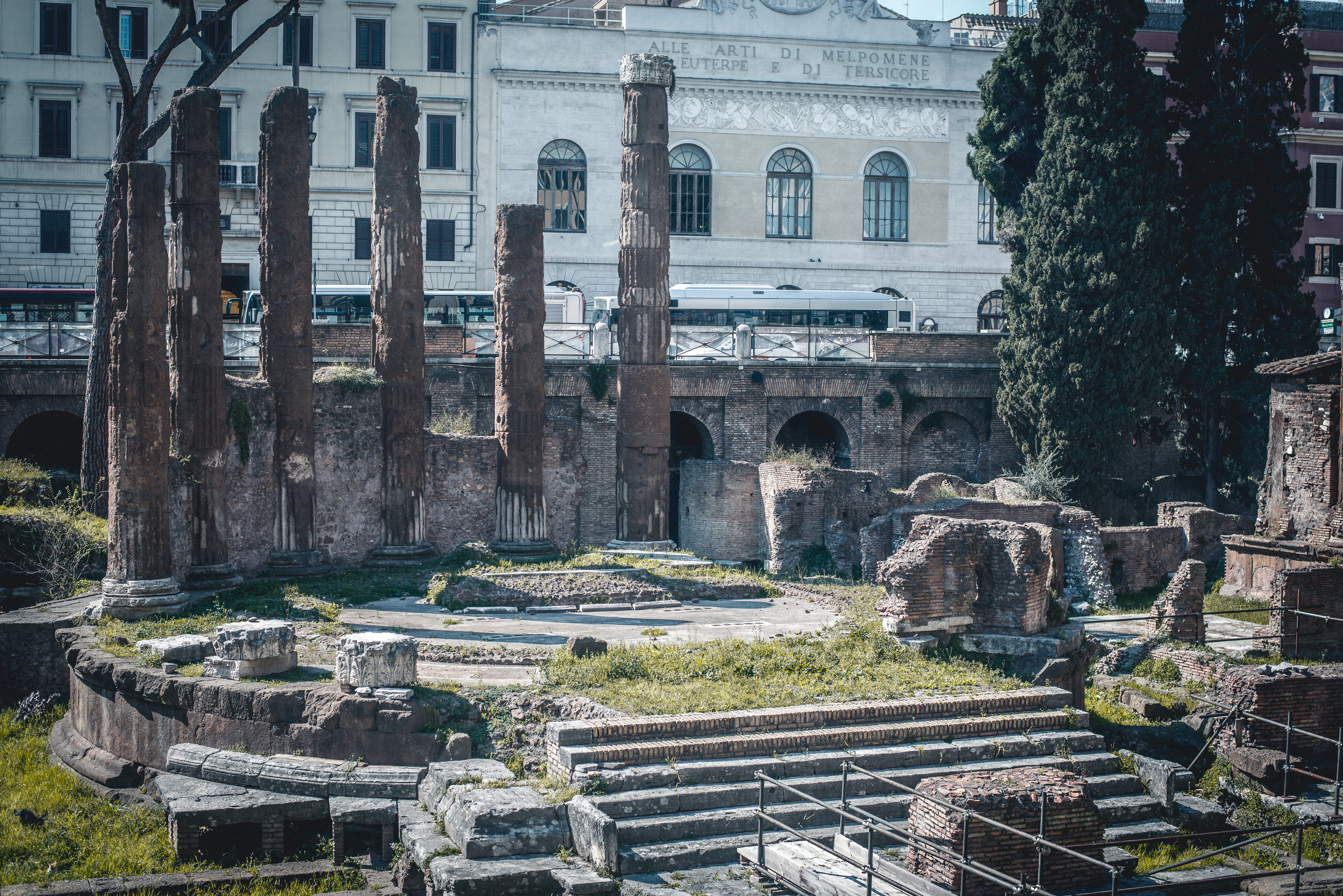 Trip in Rome what to see cat caesar died Largo di Torre Argentina
