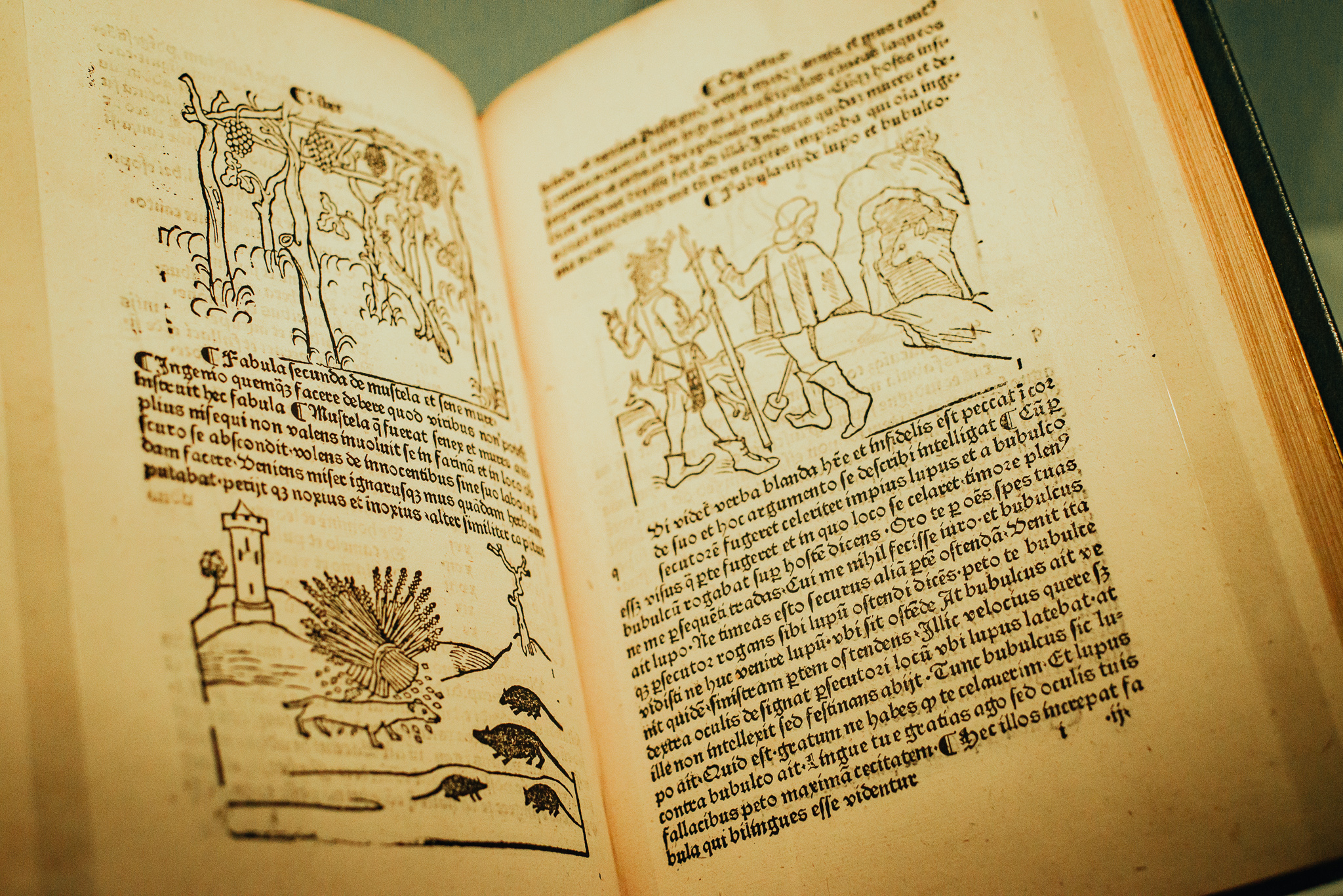 treasures gallery British Library experience