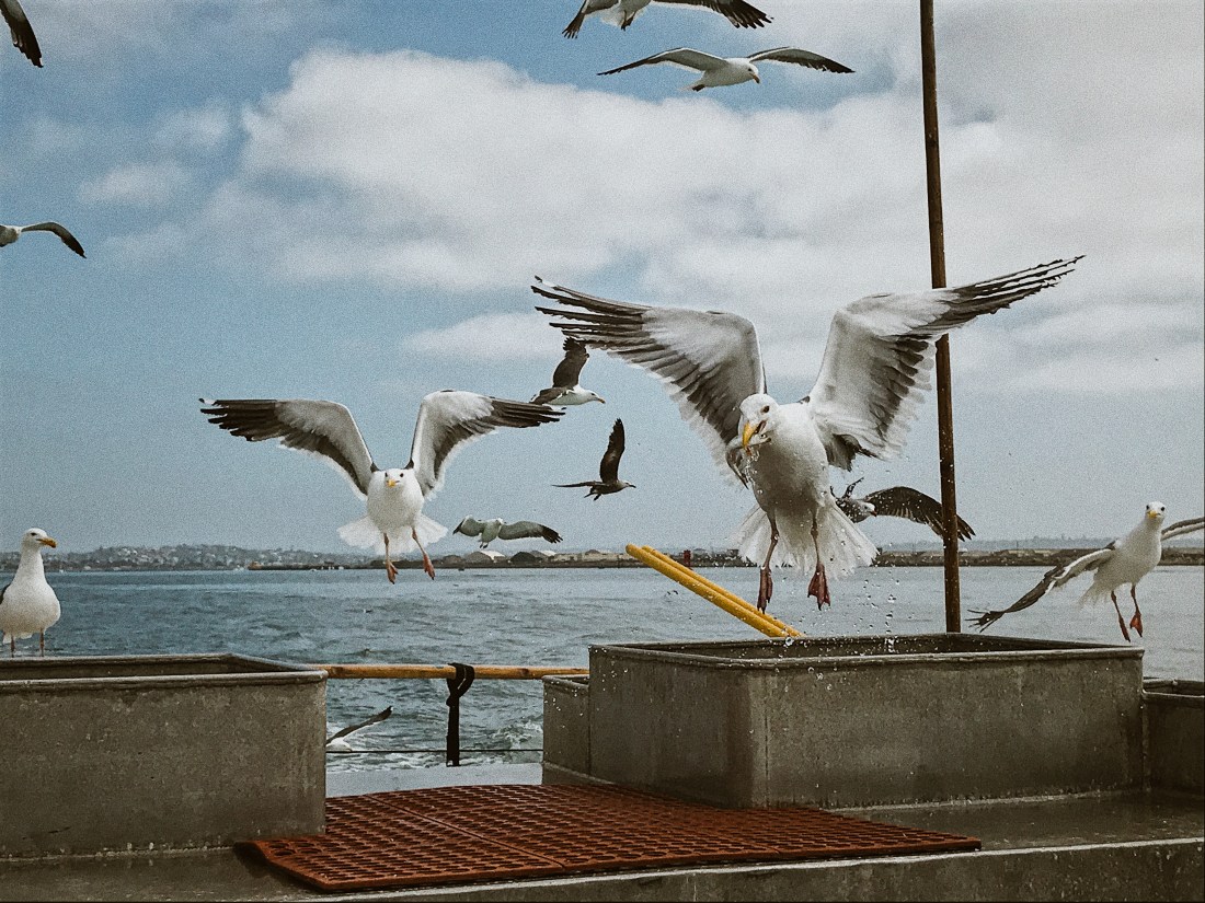 City travel - San Diego