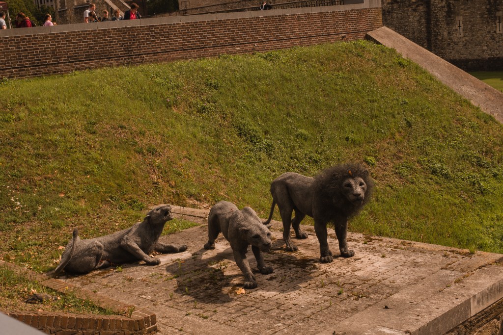 animal in Tower of London