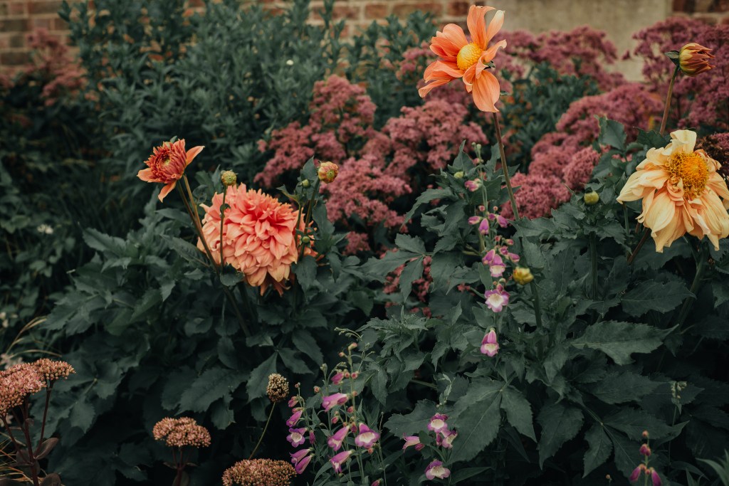 London travel guide Hampton Court Palace garden flowers