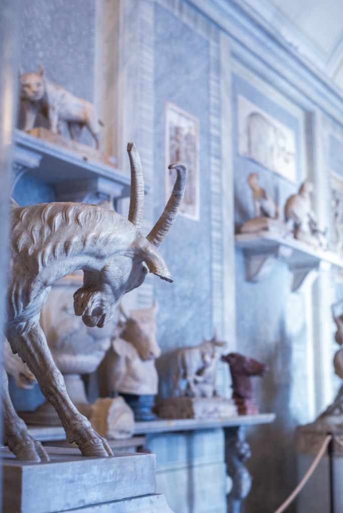 Vatican-museum-experience-free-sunday-most photogenic places in Rome 